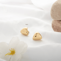 Ternion Earrings