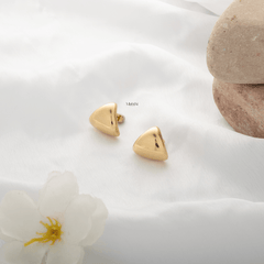 Ternion Earrings