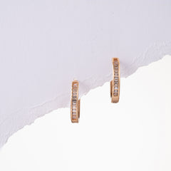 Glistening Earrings