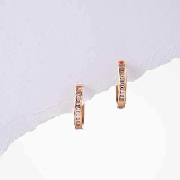 Glistening Earrings