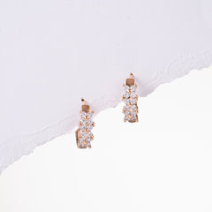 Clove Sequence Earrings