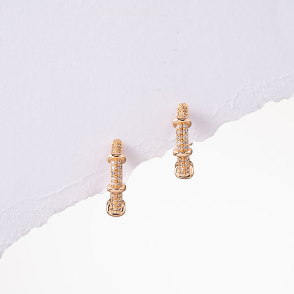 Bamboozle Earrings