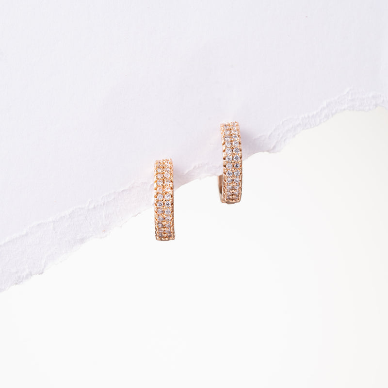 Double Line Earrings