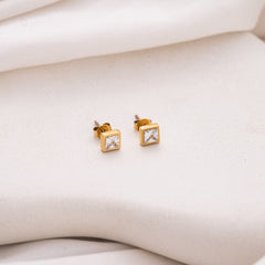 Rectangle Solid Earrings