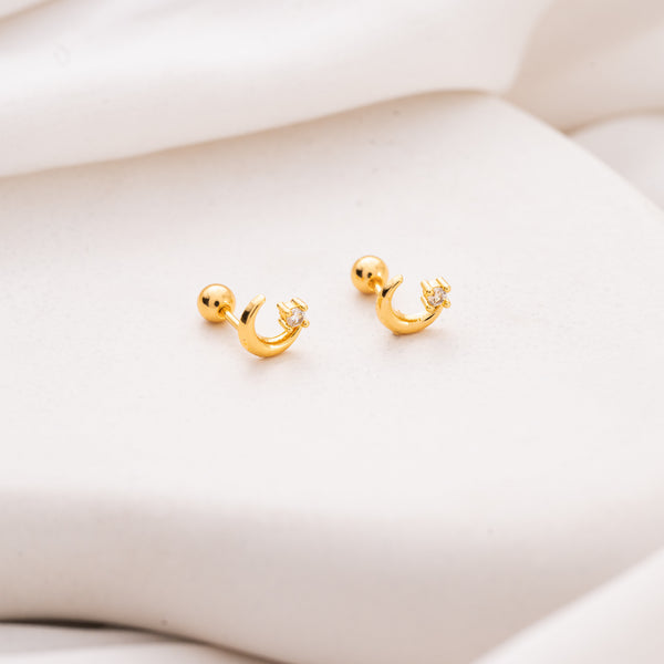 Moon Star Earrings