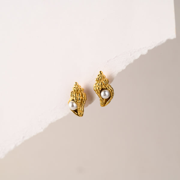 Tinted Shell Earrings