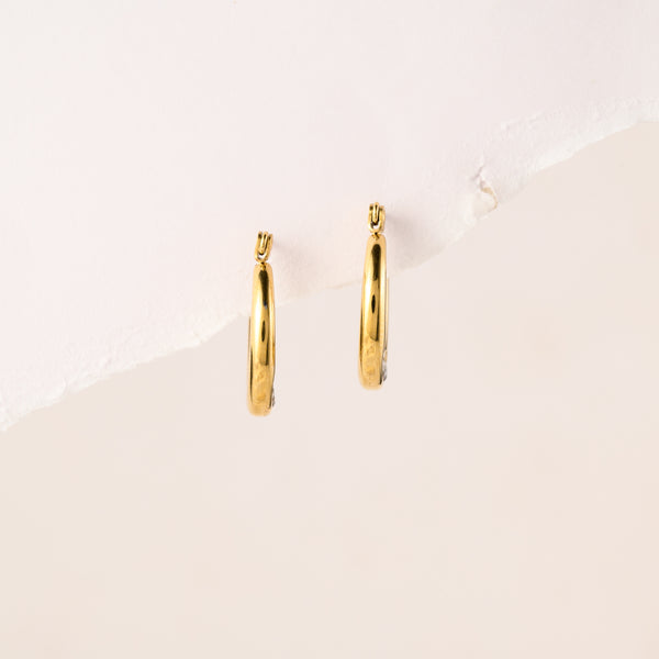 Garnet Round Earrings