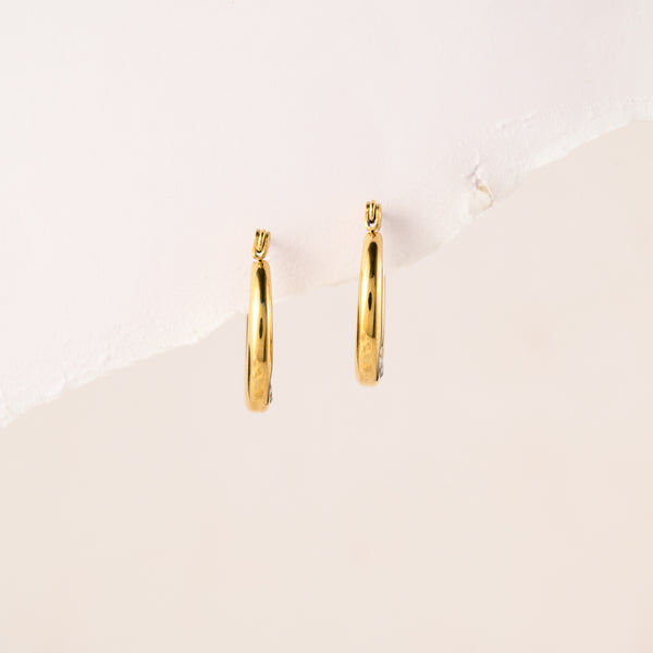 Garnet Round Earrings