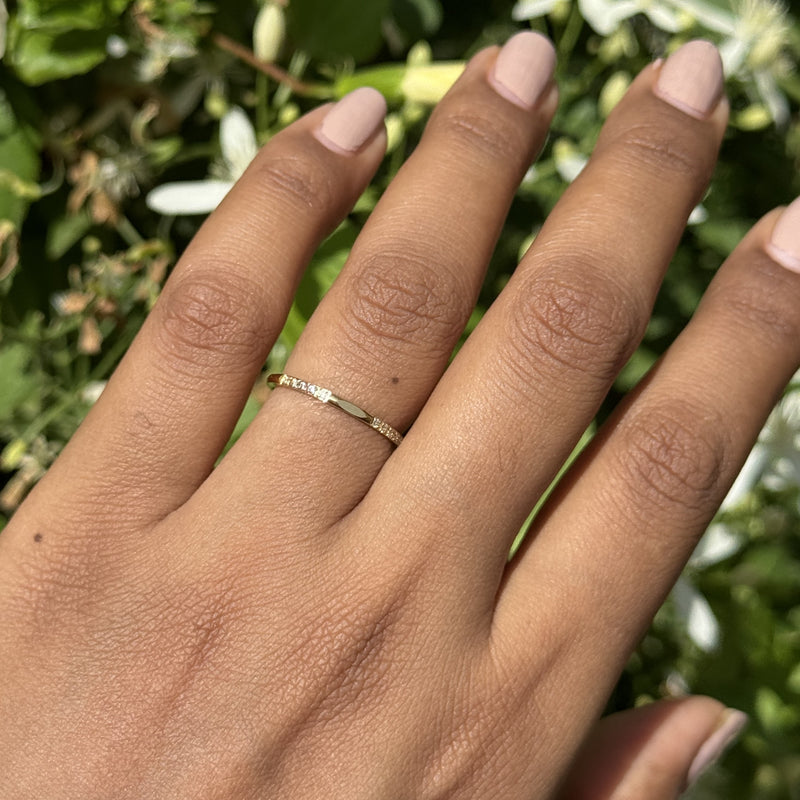 Minimal Tonic Ring