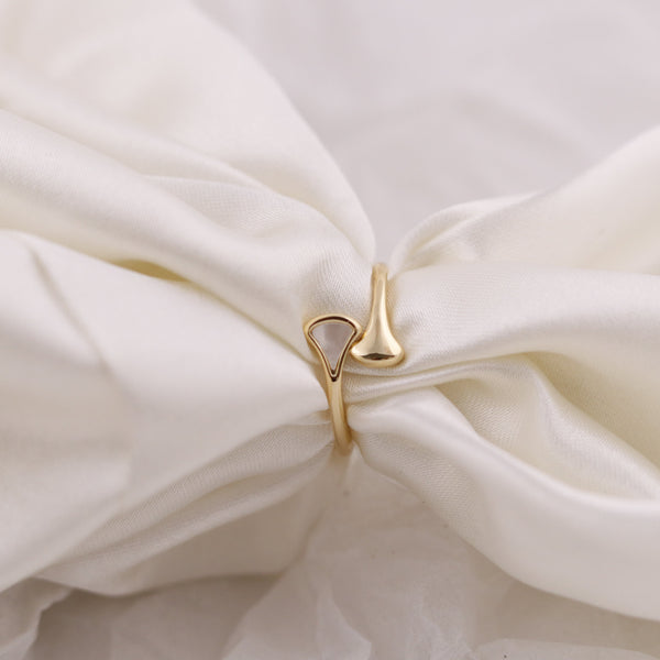 Martin Ring