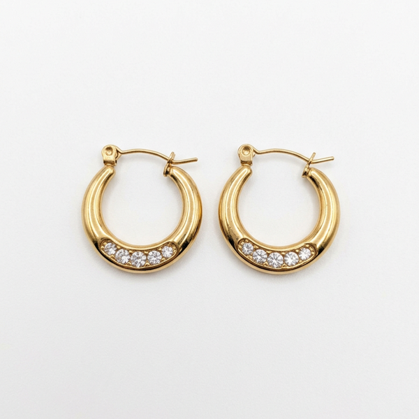 Garnet Round Earrings