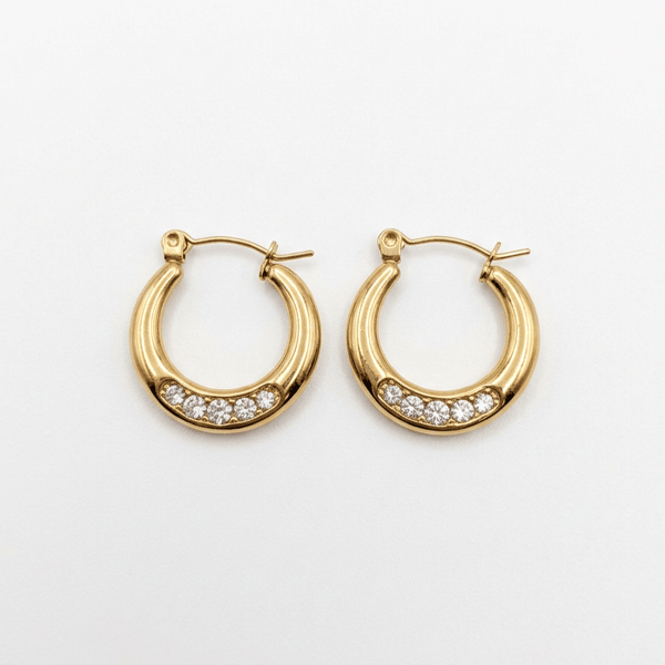 Garnet Round Earrings